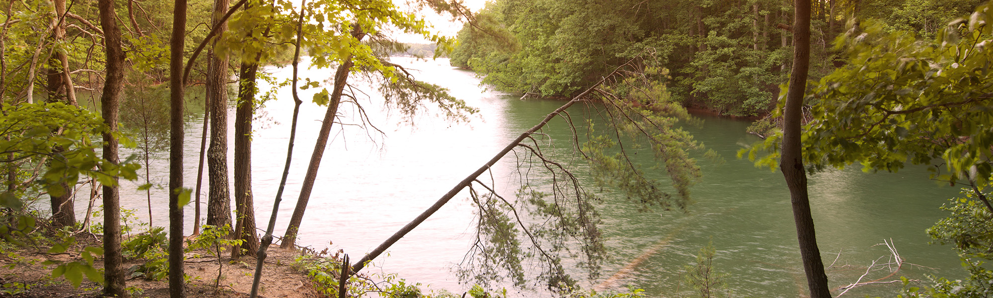 Mooresville NC HOA Management Community Management Company