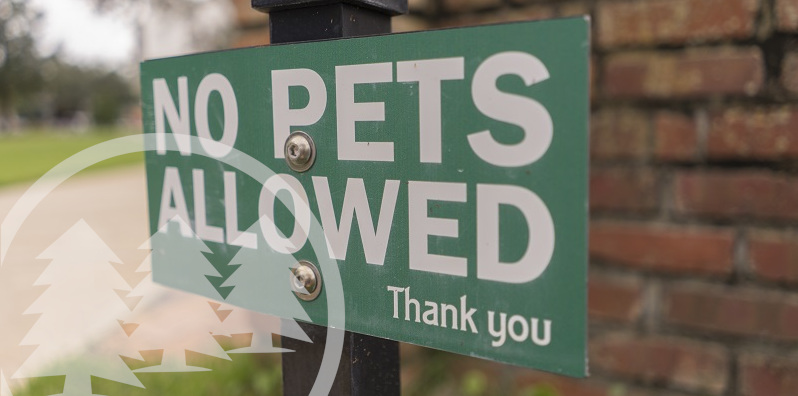 Green No Pets Allowed Sign | HOA pet restrictions