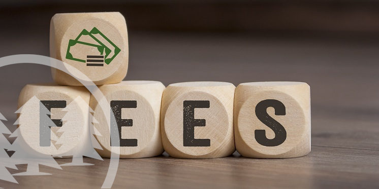wooden blocks with letters arranged as FEES wooden blocks with letters arranged as FEES | homeowners association raise the fees