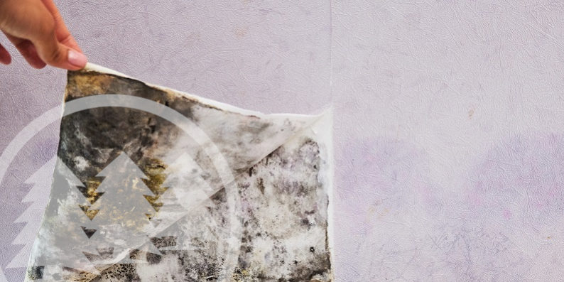 hand in gloves picking out molds hand in gloves picking out molds | hoa mold problem