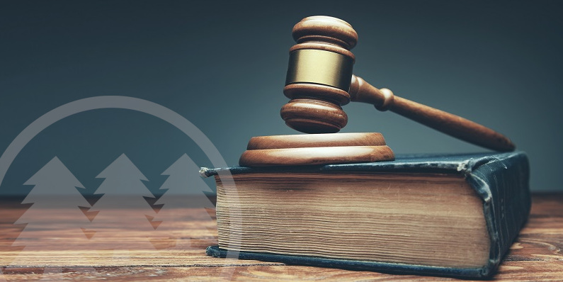 gavel over law book | hoa selective enforcement