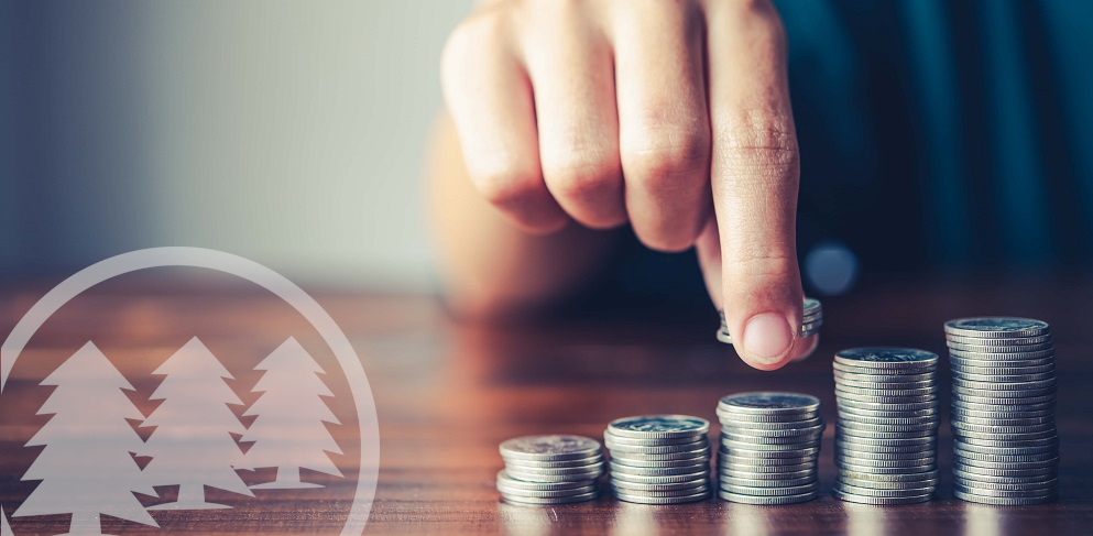 Hand putting money coin on each line rising Hand putting money coin on each line rising | low hoa fees