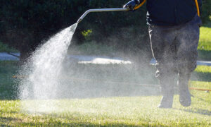 Pest Control technician spraying insecticide