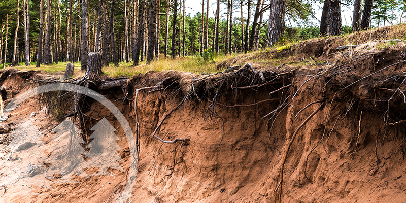HOA Seeks Remedies To Prevent Effects of Cemetery Erosion cemetery erosion
