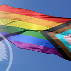 pride flag violation