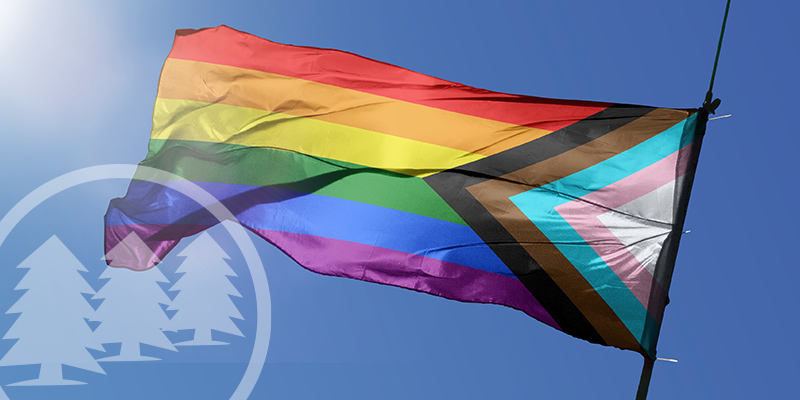 pride flag violation