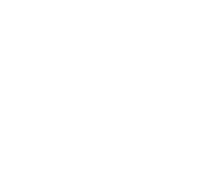 south carolina map vector