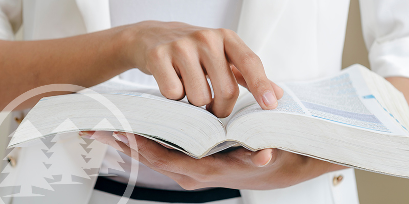 robert's rules of order motions