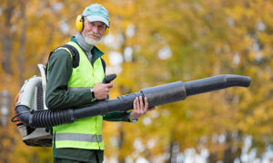 noisy leaf blowers in hoas