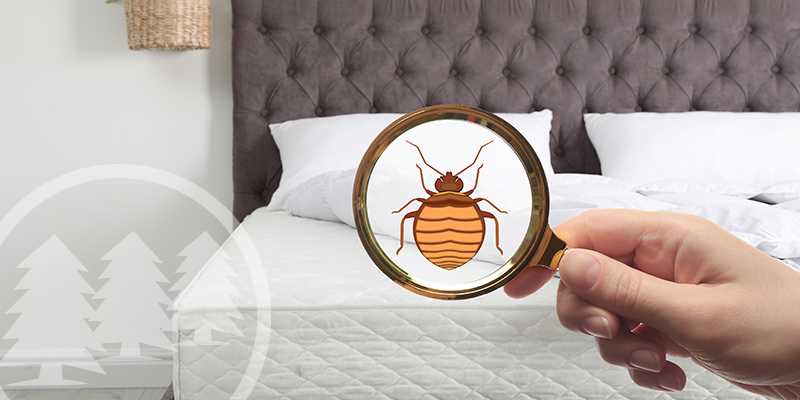 buggiest states in the U.S.