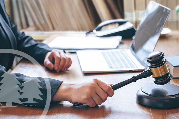 robert's rules of order privileged motions