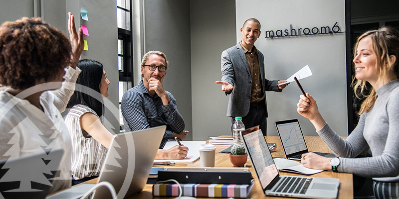 robert's rules of order parliamentary procedure