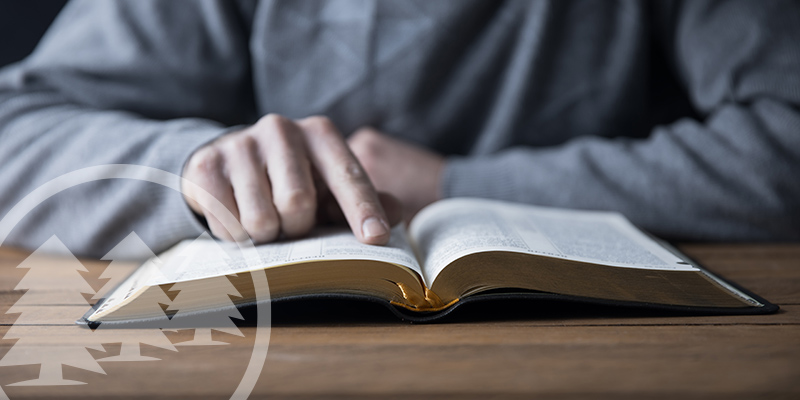 Answering Most Common Robert’s Rules Of Order FAQs robert's rules of order FAQs