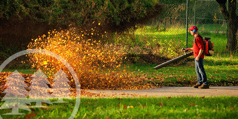 leaf blowers in hoa