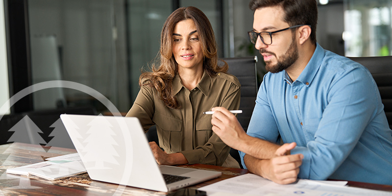 organization governing documents