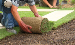 landscape renovation in reserve study