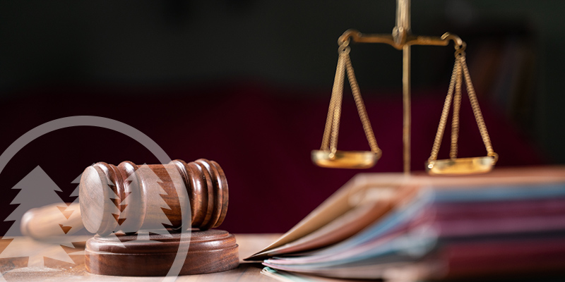 Tellico Village POA Will Pay $1.3M After Ineligible PPP Loan tellico village