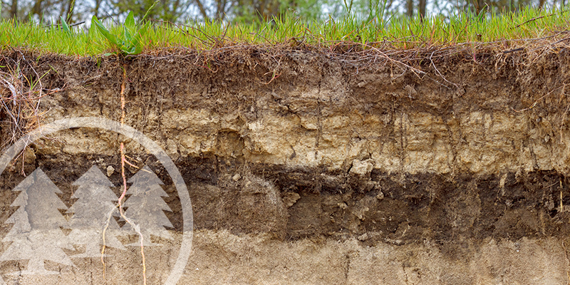 Mount Holly Residents Face Setback in Efforts to Repair Retaining Wall repair retaining wall