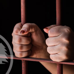 $1m hoa embezzlement