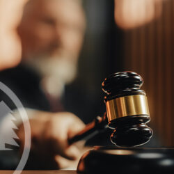 beaufort county administrator sued