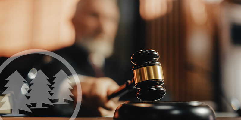 beaufort county administrator sued