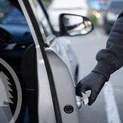 vehicles stolen in south carolina condo