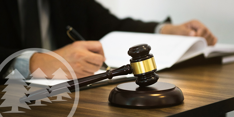 corporate transparency act on hold