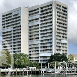 dockside association reports