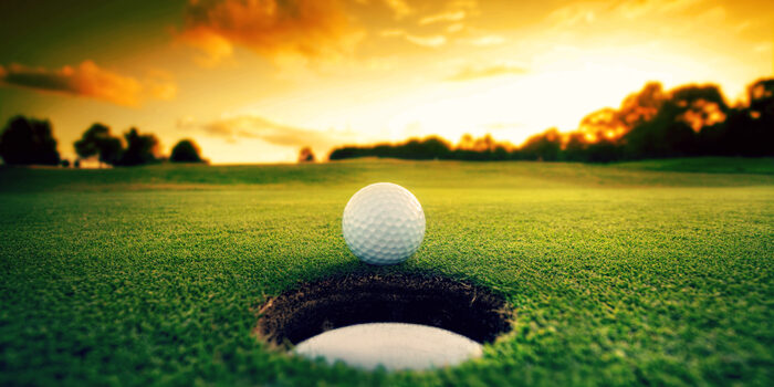 golf ball | georgetown county new zoning