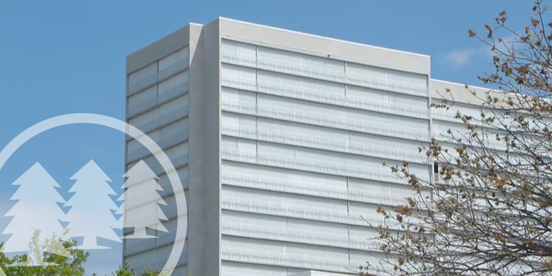 Dockside evacuees granted access