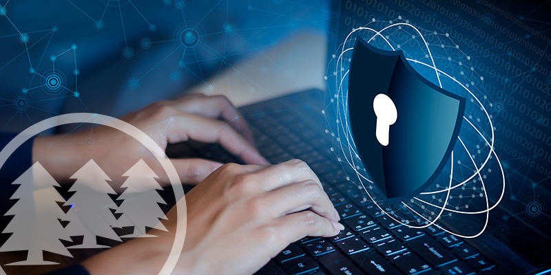 cyber risks in hoa