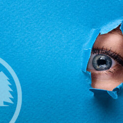 lack of transparency in hoa