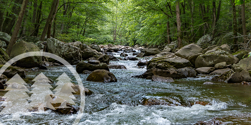 Water Rights Dispute Emerges Between NC HOA And State Agency water rights