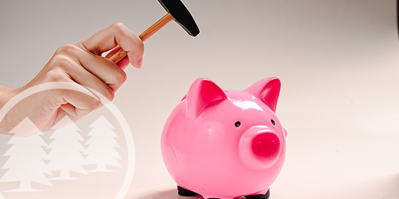 Emergency Fund Withdrawal Proposed to Repay PPP Loan emergency fund withdrawal