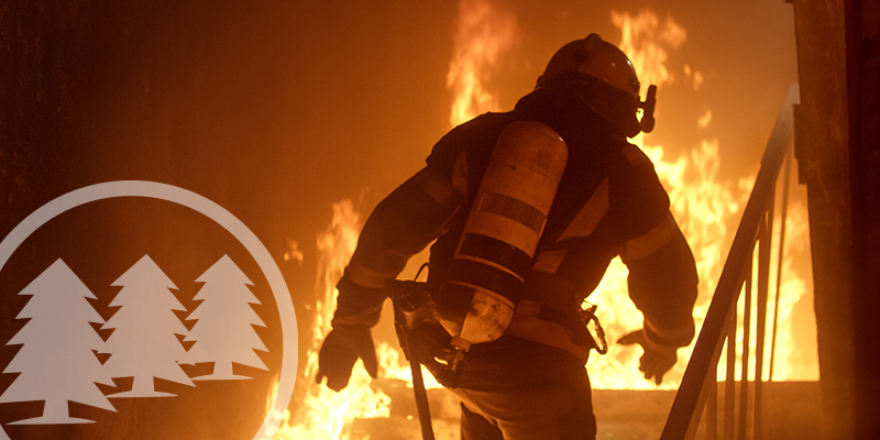 pine condo harbour fire