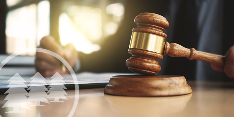 New VA HOA Laws Introduce Key Changes For HOAs And Condos new va hoa laws