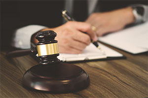 pet chickens ruling supreme court